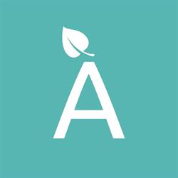 Remeis per l'ànima, L'Aldea