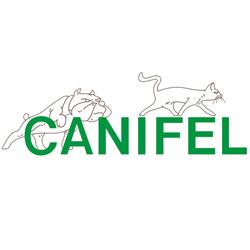 Consultorio veterinario Canifel, La Cenia