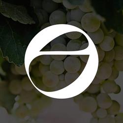 EnoValencia