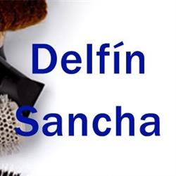 Delfín Sancha, Madrid
