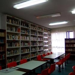 Biblioteca Rafael Alberti, Piornal