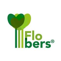 Flobers, Madrid