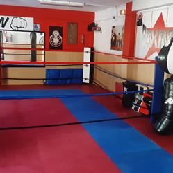 CLUB DE KENPO-KARATE LENDINEZ GYM, Blanes