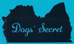 Dogs' Secret, Móstoles