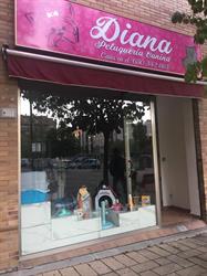 Peluquería Canina, Pinto