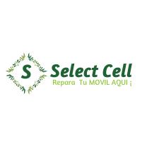 Select celll, Mislata