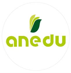 Anedu, Bigastro