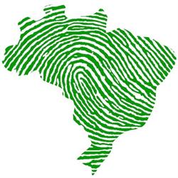 Brasil Tramites, Madrid