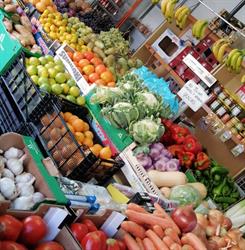 Frutería la gran manzana, Rota
