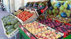 Fruites Lara Sant Feliu de Guíxols