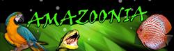 Amazoonia, Zaragoza