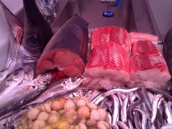 Pescaderia Viator