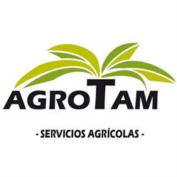 Agrotam, Vallehermoso