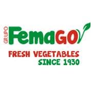 Grupo Femago, El Ejido
