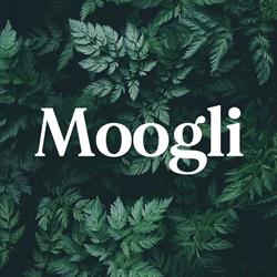 Moogli, Zaragoza