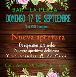 Bar La Plaza Pelayos