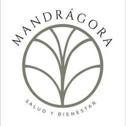 Mandrágora Inca