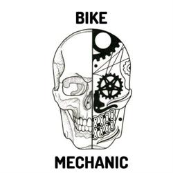 Bike Mechanic Illescas