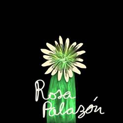 Rosa Palazón Esteticista, Elche