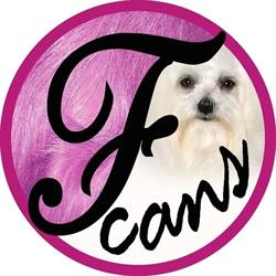 Perruqueria canina Fanny's Cans, Marratxí