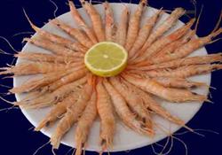 Restaurante La gamba, Torremolinos