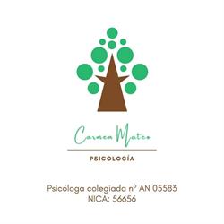 Centro de Psicología Carmen Mateo, Cañada Rosal