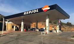 Estacion De Servicio Repsol Nuestra Señora Del Rosario, Luciana