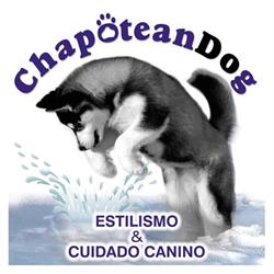 ChapoteanDog, Utebo