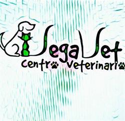 Vegavet Centro Veterinario, Alburquerque