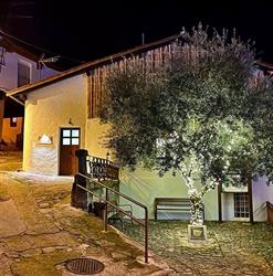 La casita del olivo, Hervás
