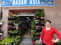Bazar Asia, Esplugues de Llobregat