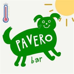 Pavero Bar, Pontevedra