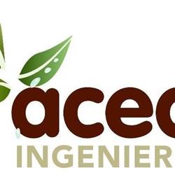 ACEA Ingeniería, Ourense