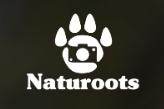 Naturoots, Andújar