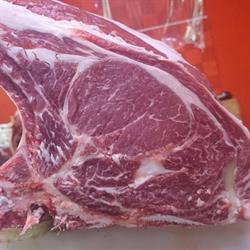 Colmenar de oreja Cardaser S.L., Colmenar de Oreja