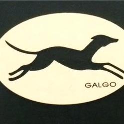 Galgo, Ronda