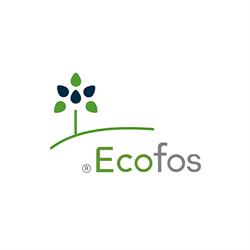 Ecofos, Salteras