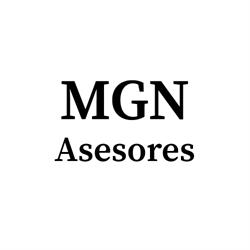 MGN Asesores, Puntallana