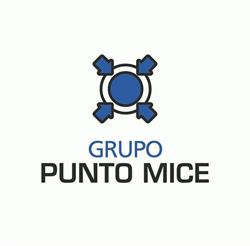 PUNTO MICE, Madrid