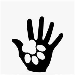 Cool Dogs Inca