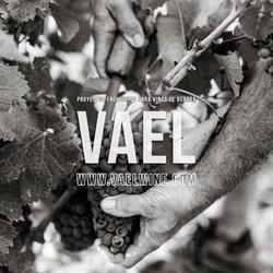 Vaelwine, Jumilla