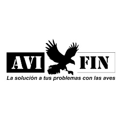Avi Fin, Madrid