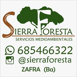 Pakito Sierra - Sierra Foresta, Zafra