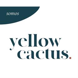 The Lab Yellow Cactus, Madrid
