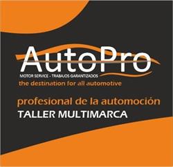 Autopro Taller Multimarca, Madrid