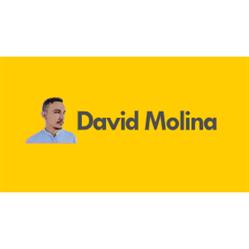 David Molina Cubero, Madrid