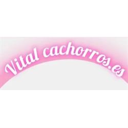 Vitalcachorros.es, Padul