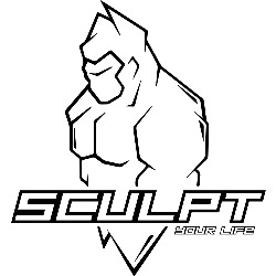 Sculpt Your Life, Plasencia