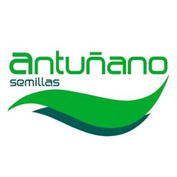 SEMILLAS ANTUÑANO, Bilbao