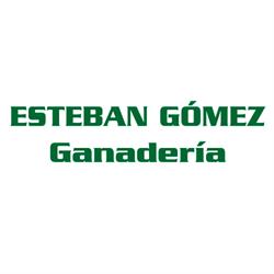 ESTEBAN GOMEZ Ganadería, Madrid